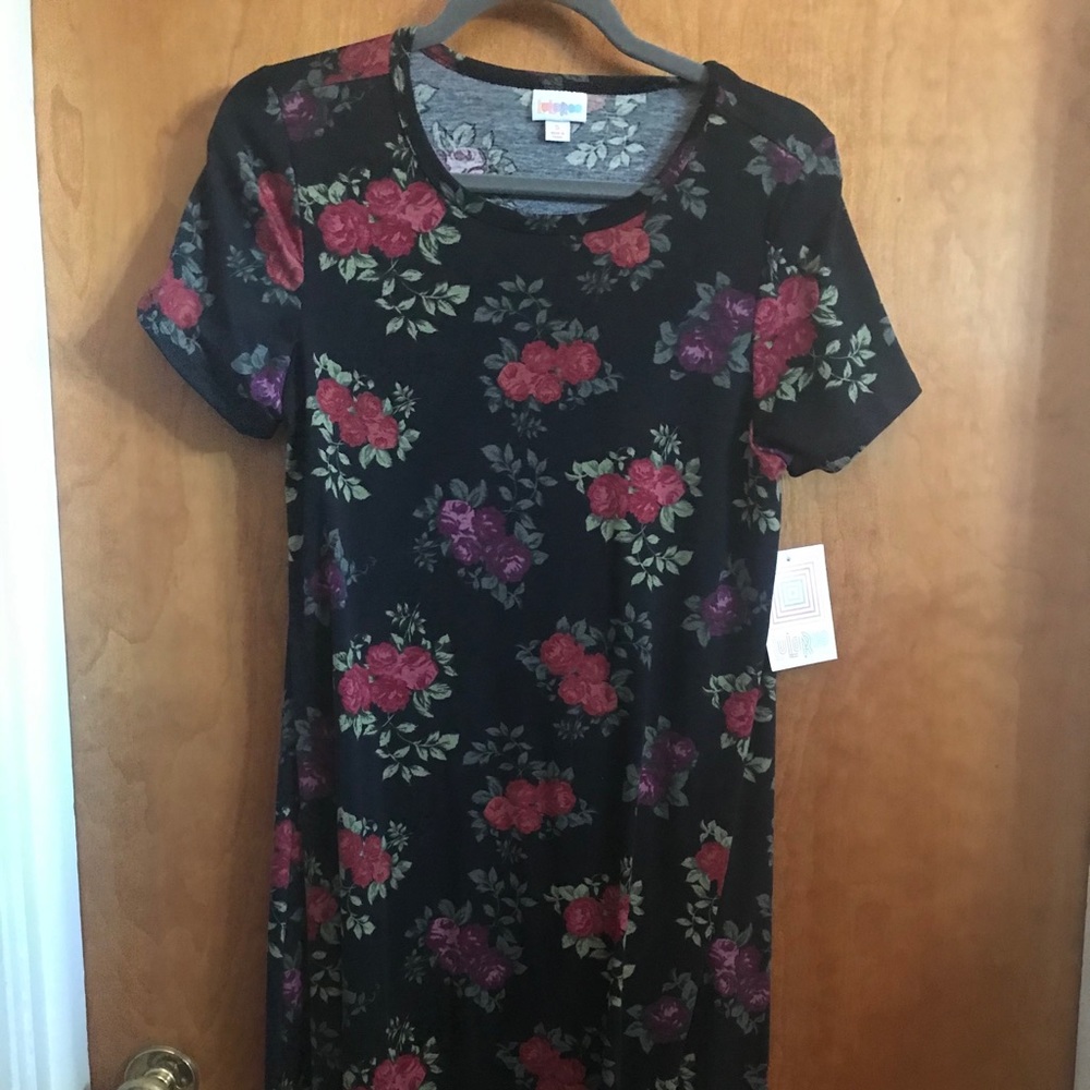 LuLaRoe new with tags Carly dress Small